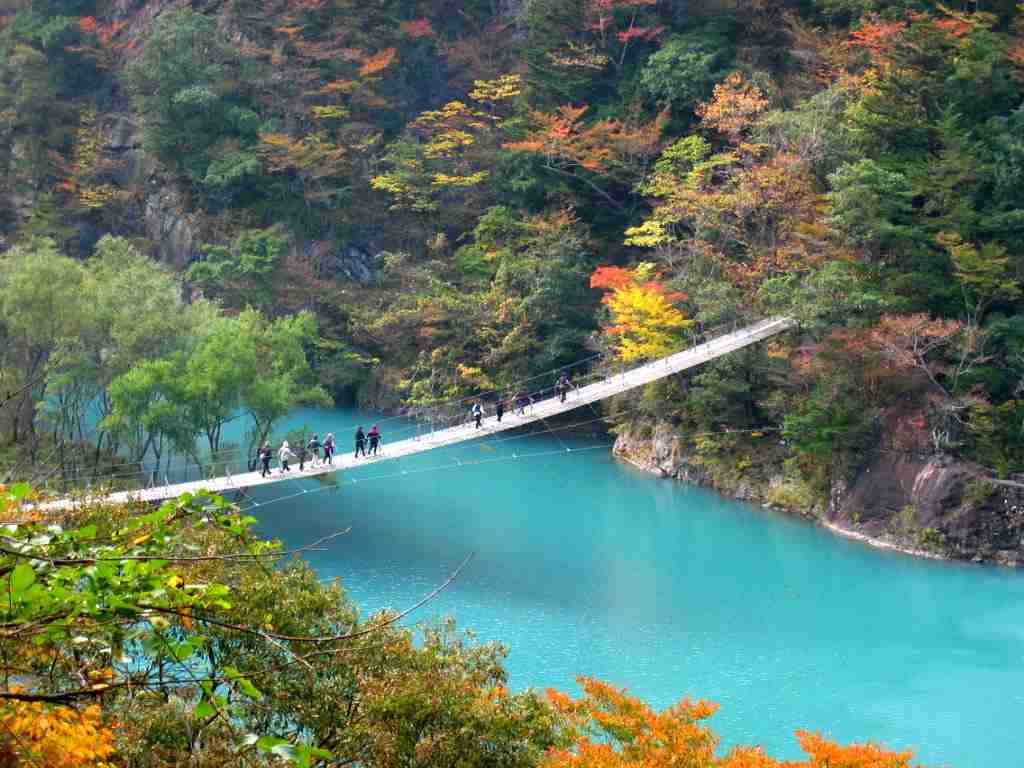 静岡県の観光名所☆