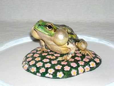 近年のよく分からないファッションをあげて下さい