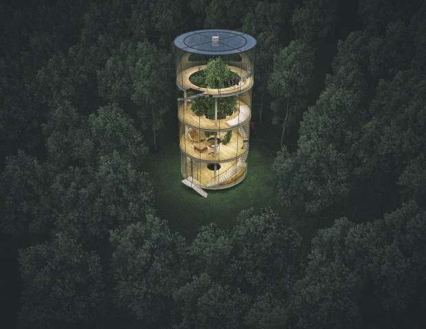 自然との融合を目指す家「Tree in the House」に世界中が注目
