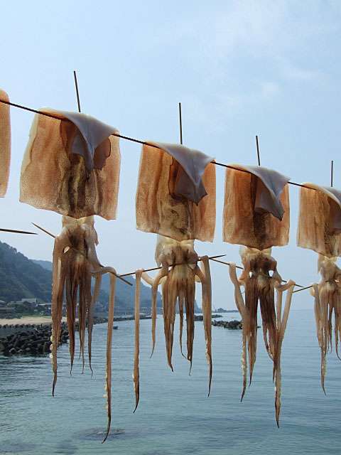 いかの干物にアツアツの酒を入れて飲んだ後に食べてしまう「イカグラス」