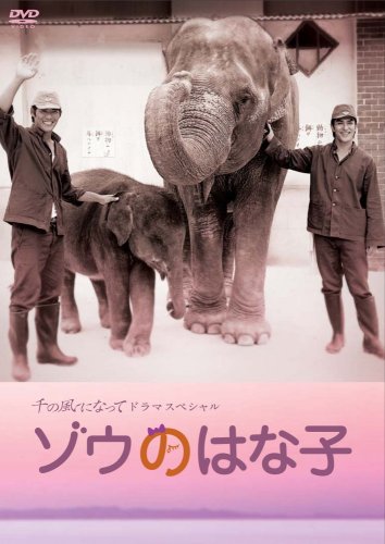 東京で安らげる場所、教えてください！