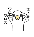雑談トピで仲良くなった人と、もっとお喋りするトピ