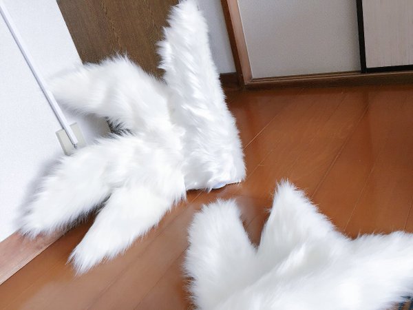 【奇跡】猫がなんか神っぽくなってたｗｗｗｗｗｗｗｗ何かを悟っているような表情がよい｜オタクニュース