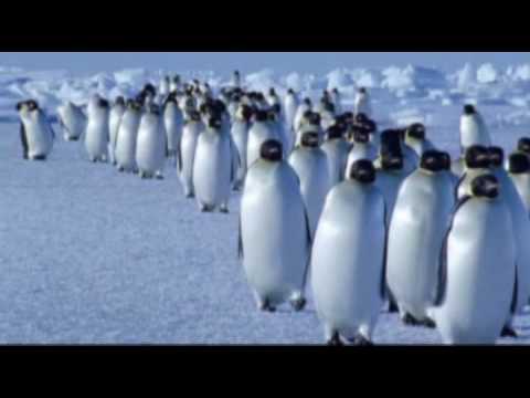 Vangelis - Theme from Antarctica - YouTube