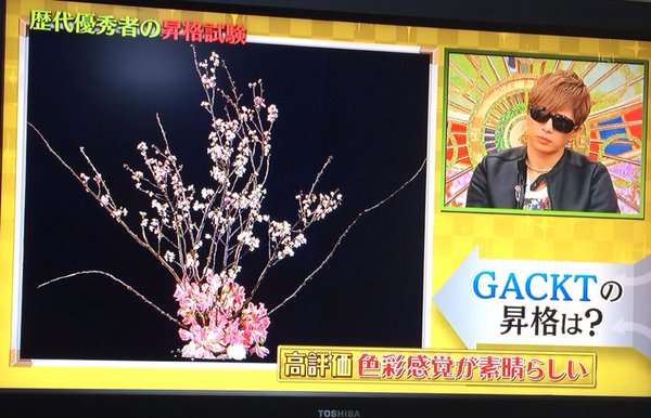 GACKTの「いけばな」を假屋崎省吾氏が大絶賛 スタジオも驚き
