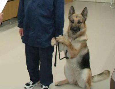 「来いよ」って言ってそうな画像くださいpart2