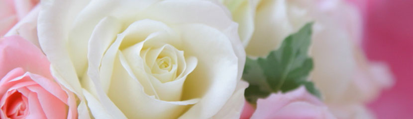 女の美道　-　30代後半からの女性のダイエット・美容 | 30代後半からの女性のダイエット・美容道