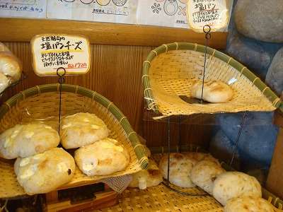 スギちゃんみたいに喋るぜぇ　スギ花粉到来編