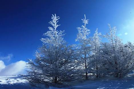 空の画像を貼って気分転換するトピ