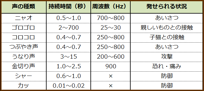 「猫がお風呂場についてくる理由」を獣医師が解説