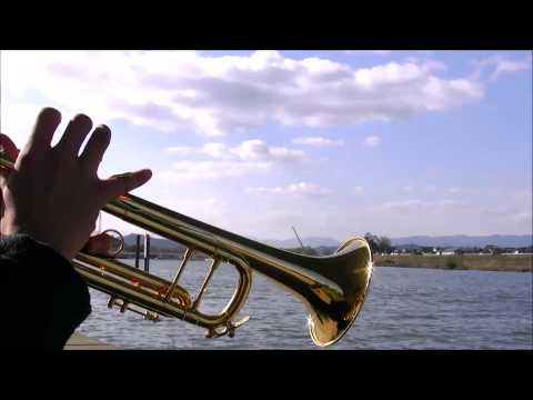 ラピュタよりハトと少年【トランペットで演奏してみた】 - YouTube