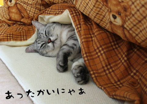 【エロ以外】気持ち良さそうな画像を貼るトピ