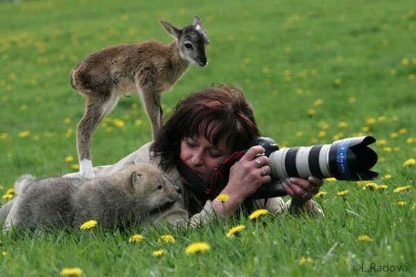 想像以上に過酷だった…動物写真家の努力と苦悩が一瞬でわかる画像