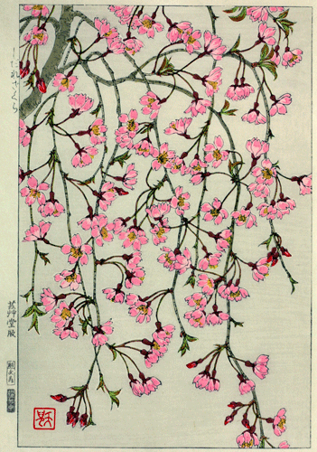 桜を描いた絵画♪