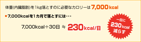 今までで一番痩せたダイエット！