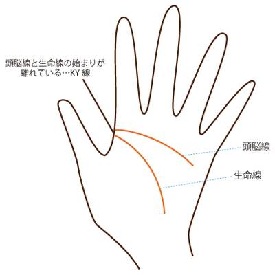 玉の輿？それとも晩婚！？あなたの結婚の傾向を暗示する手相４線
