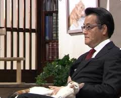 猫の気分や感情の見分け方教えてください!