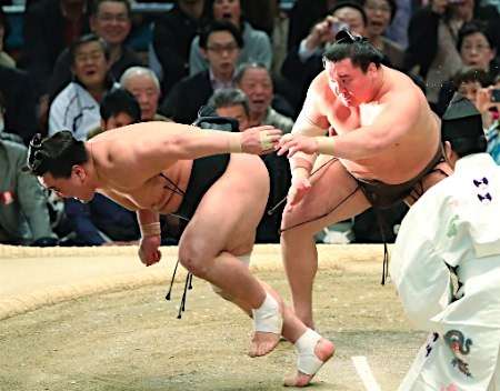 【大相撲春場所】白鵬が4場所ぶり最多36度目V