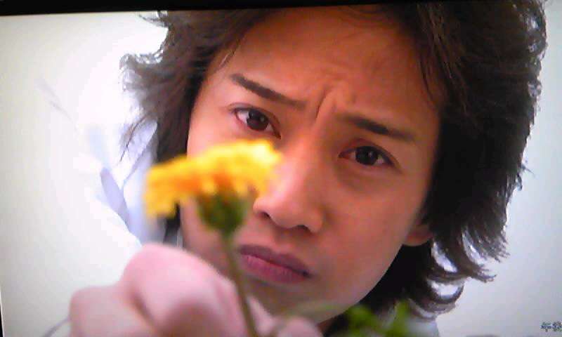 出演者に恋しちゃうドラマ・映画