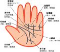 【手相】結婚しない人の手相とは？ - NAVER まとめ