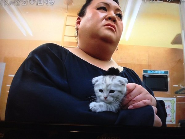 マツコ・デラックス、猫を飼えない理由語る 「まだ追い込まなきゃ自分を」