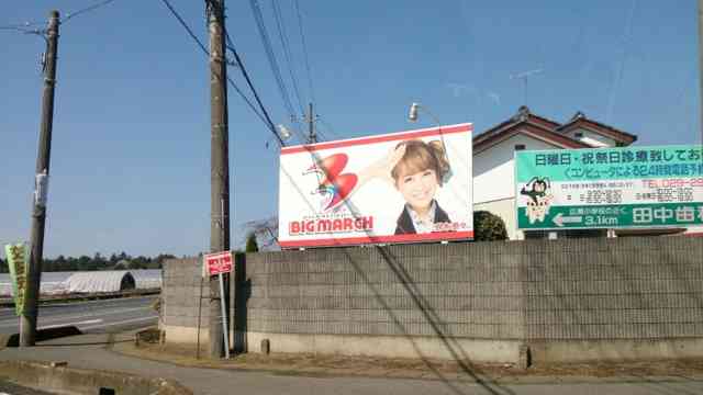 本当に需要ゼロ! 鈴木奈々の“もっと脱ぎます”宣言にウンザリ反応が続々