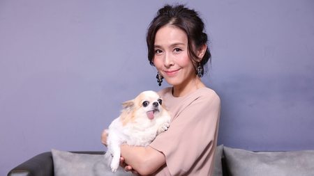 犬猫の「しあわせなお買い物」で笑うのは誰か （東洋経済オンライン） - Yahoo!ニュース