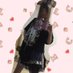 川本真琴さんはTwitterを使っています: "辞めません。 https://t.co/9Z3ME10GLb"