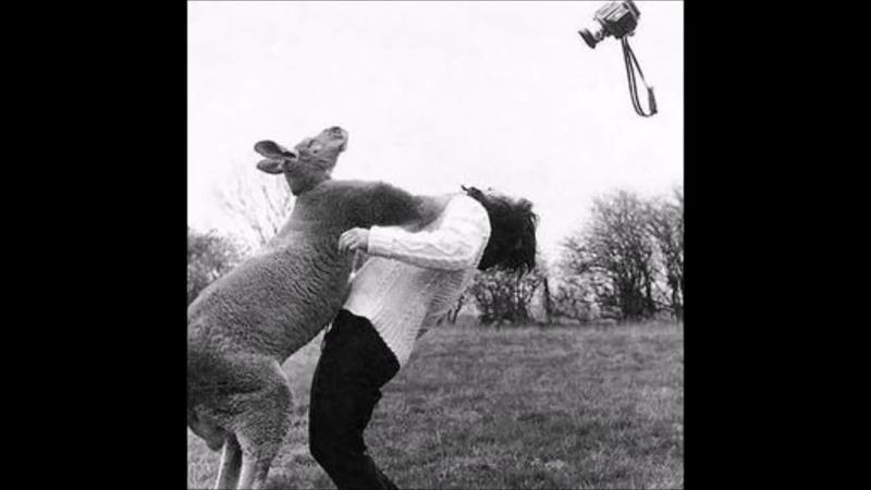 想像以上に過酷だった…動物写真家の努力と苦悩が一瞬でわかる画像
