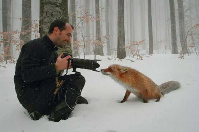 想像以上に過酷だった…動物写真家の努力と苦悩が一瞬でわかる画像