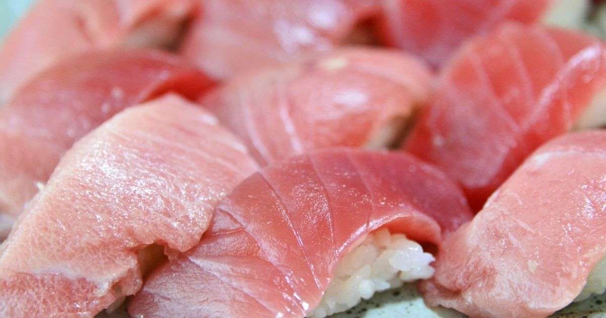 市場直送「マグロ食べ放題」1100円の寿司天国！夢のようなお店が桜木町にあった！ - Find Travel