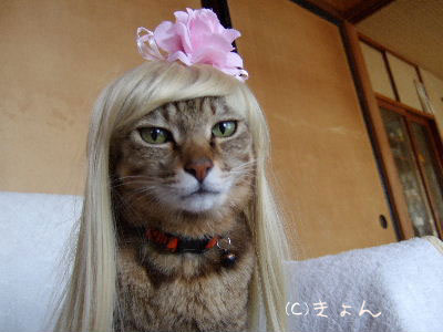 素敵な髪飾りの画像ください！