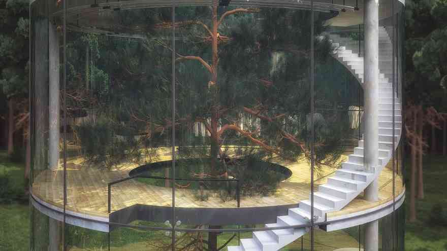 自然との融合を目指す家「Tree in the House」に世界中が注目