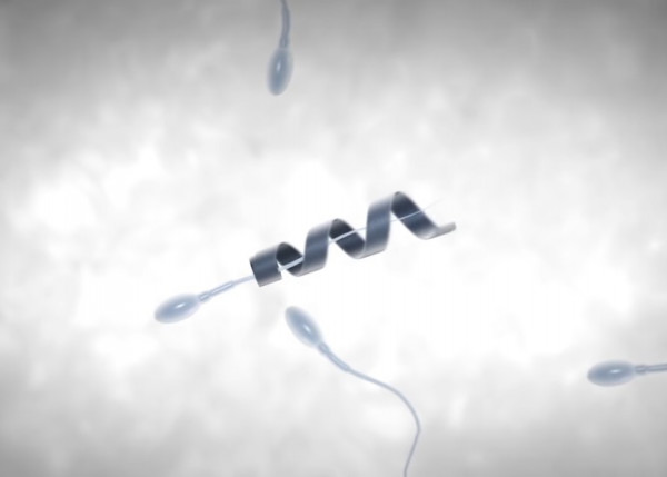 泳ぎが下手な精子を助けるマイクロロボ『Spermbot』が不妊治療の救世主になるかも - Spotlight (スポットライト)