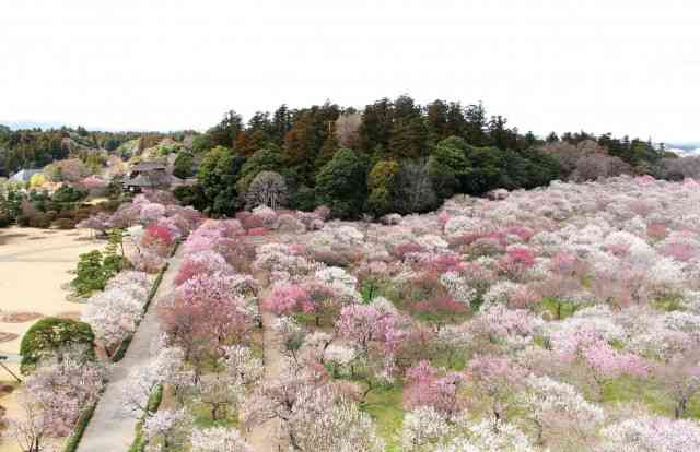 一人旅におすすめの県は？