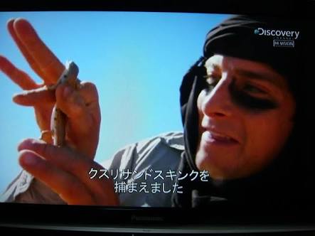 とにかく男らしさを感じる画像ください!