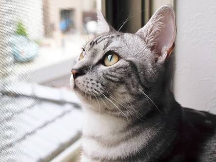【画像】イケメンの横顔を眺めるトピ