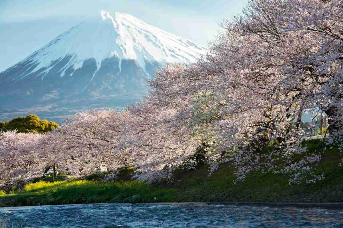 静岡県の観光名所☆