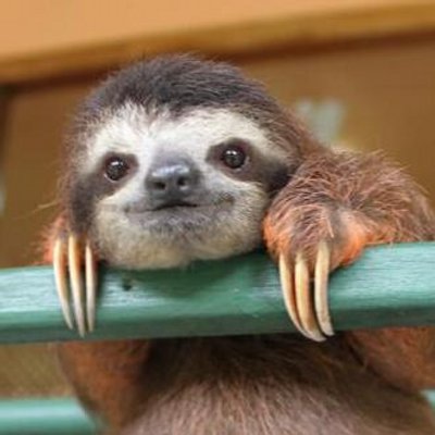 怠け者さん、いらっしゃぁ〜い♪トピ