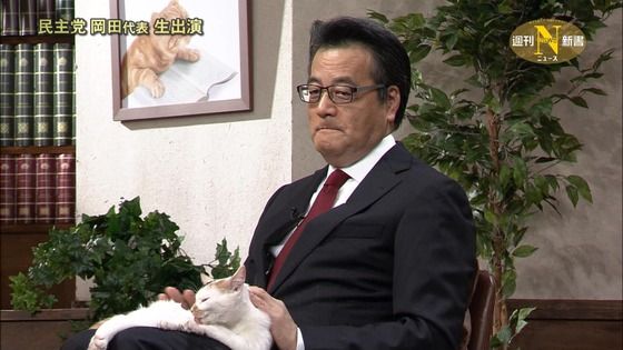 テレビ東京　看板ネコが人気の異色報道番組、3月で終了