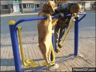 超リラックスしている【動物画像】トピ♪