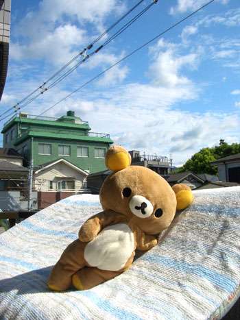 【エロ以外】気持ち良さそうな画像を貼るトピ