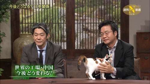 ちょっと変わった場所にいる動物の画像を貼るトピ