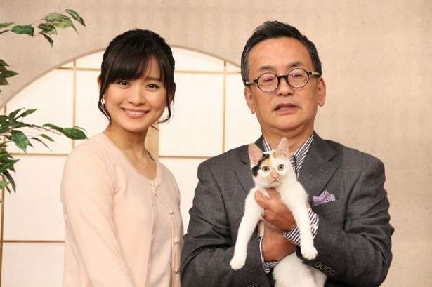 テレビ東京　看板ネコが人気の異色報道番組、3月で終了