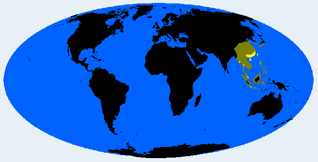 誘拐された朝霞市の少女 1人で買い物、ハンバーグなど料理も