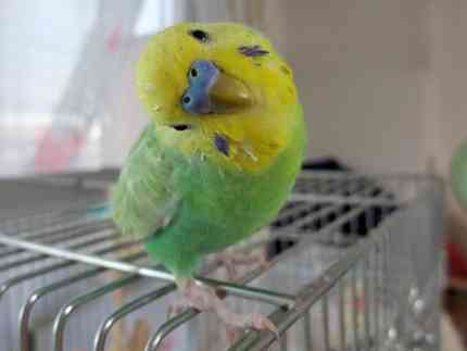 反省している画像