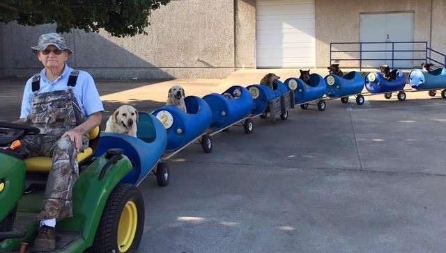 ちょっと変わった場所にいる動物の画像を貼るトピ