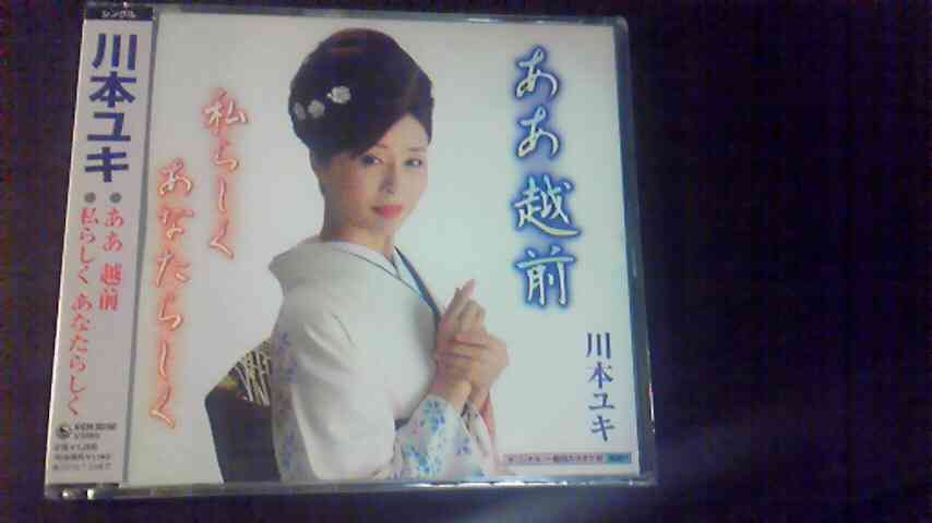 川本真琴、批判コメントに反撃「心腐ってるわ」