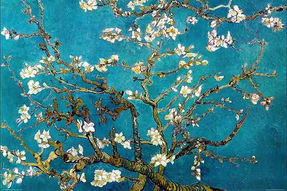 絵を描くのが好きな方