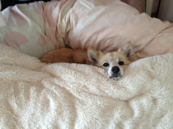 「来いよ」って言ってそうな画像くださいpart2